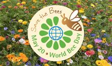 Celebrate World Bee Day and support biodiversity with Johnsons Lawn Seed's wildflower mixes