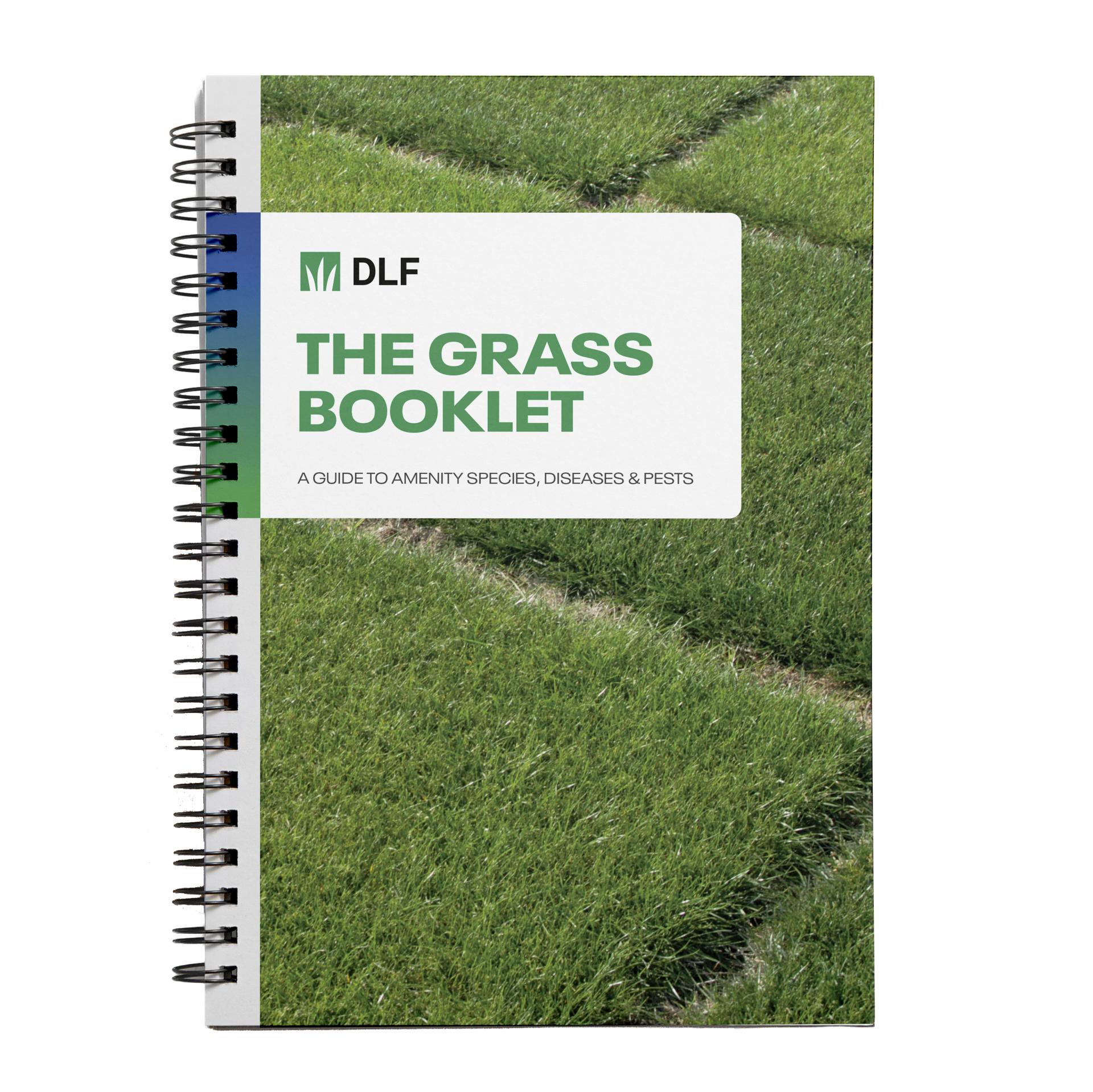 Turfgrass Identification Guide Grass Identification Guide | Johnsons Lawn Seed